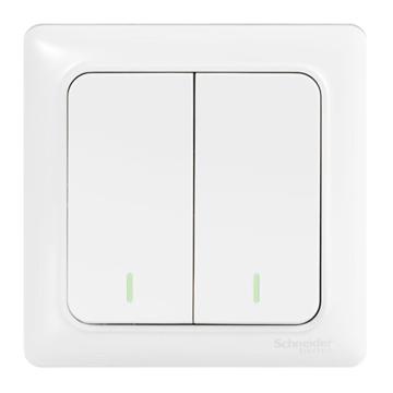 施耐德 双开双控开关，A3E32_2A 售卖规格：1个