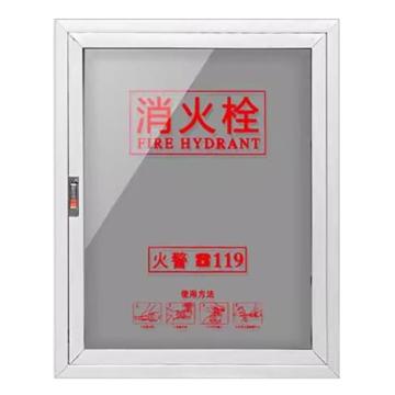 嘉辽 消防栓箱门面板玻璃门箱面板，门框高100cm 宽70cm门框+透明板锌镁合金+亚克力，JLXFSBK0731P-2 售卖规格：1个