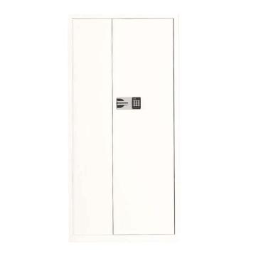 震怡 保密柜通体无抽屉国保锁，ZY-BMGTTWCGB 900*420*1850mm 厚度1.0mm 售卖规格：1台