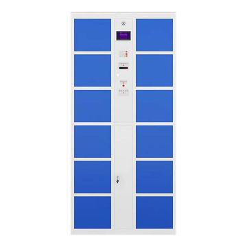震怡 智能存包柜条码款12门，ZY-ZNCBGTM12B 850*460*1800mm 厚度1.0mm 售卖规格：1台