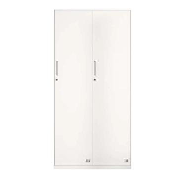 震怡 薄边二门更衣柜，ZY-ZBGYGW2 W900*D500*H1850mm 厚度0.8mm 售卖规格：1台