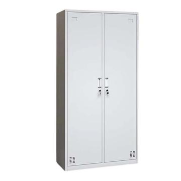 震怡 钢制 二门更衣柜，ZY-EMGYGHB W900*D420*H1800mm 厚度0.5mm 售卖规格：1台