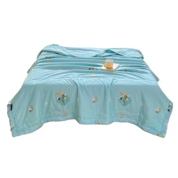 保罗大卫 被子，柔肤被 150×200cm 克重：650克 售卖规格：1条