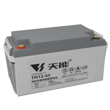 天能 阀控式免维护铅酸蓄电池12V系列20hr，TN12-65ES 售卖规格：8个/箱