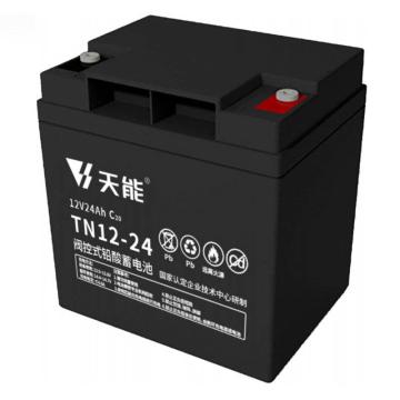 天能 阀控式免维护铅酸蓄电池12V系列20hr，TN12-24H 售卖规格：8个/箱