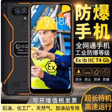 地酷 防爆手机，5G 售卖规格：1个