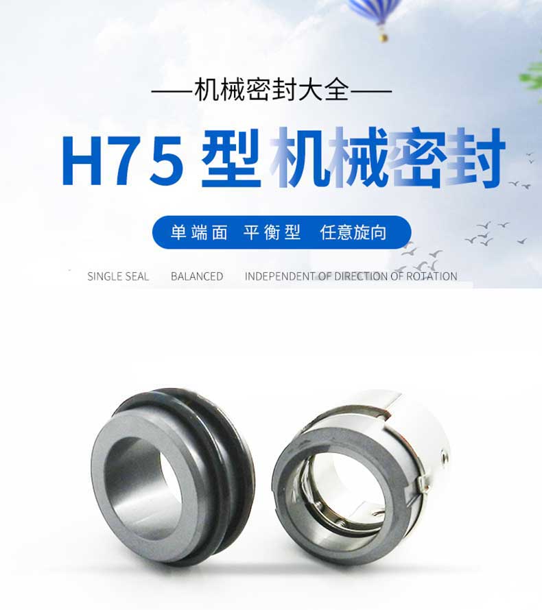 1716516220856686.jpg H75-G115机械密封_01.jpg