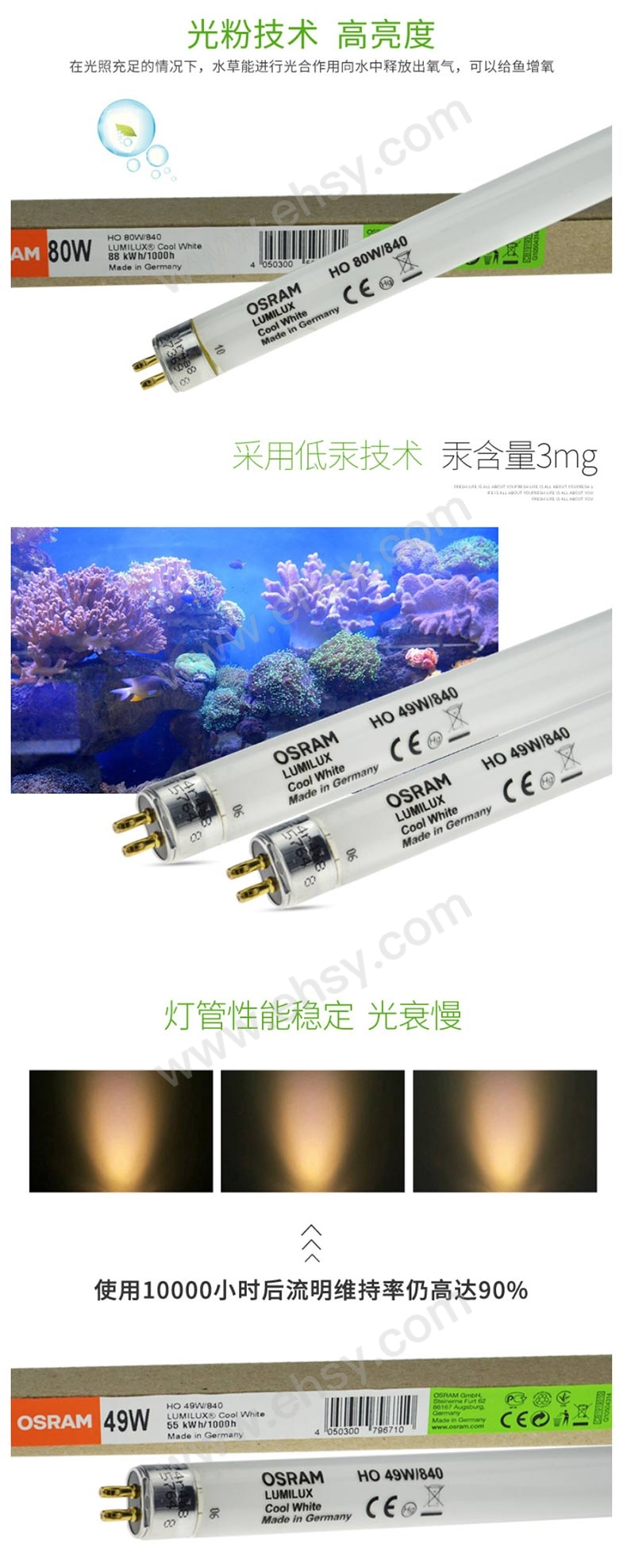 特点.jpg