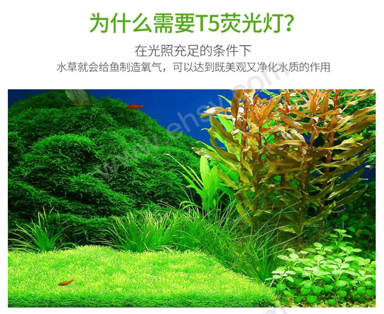 应用.jpg