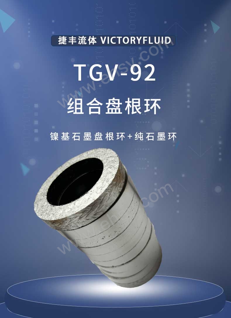 TGV-92组合盘根环_01.jpg