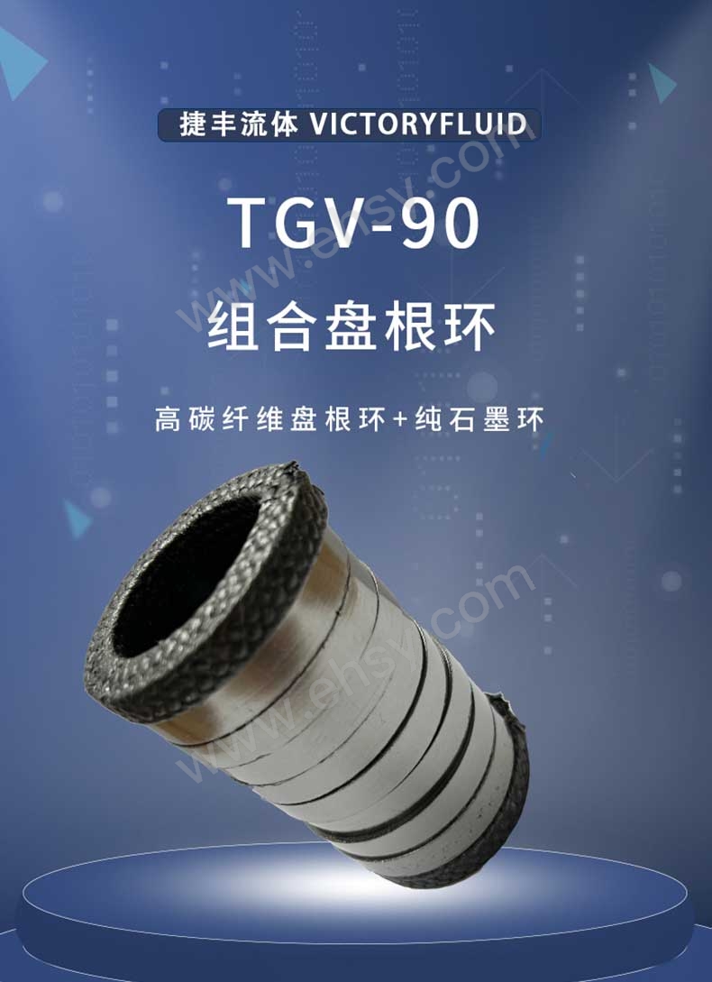 TGV-90组合盘根环_01.jpg