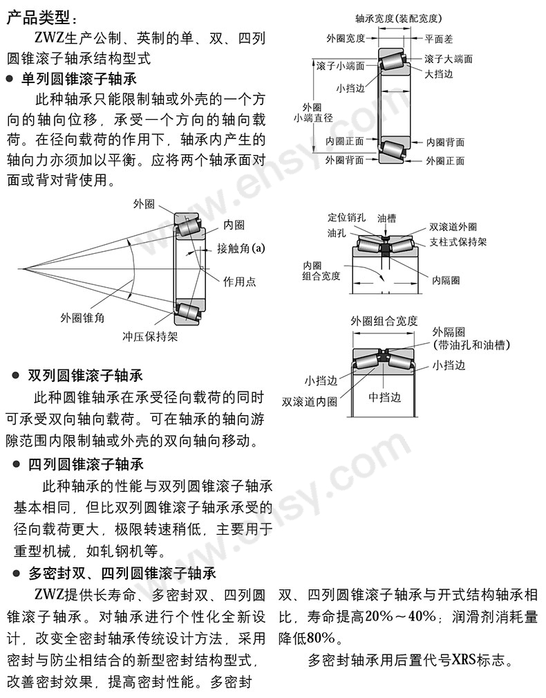 特点.jpg