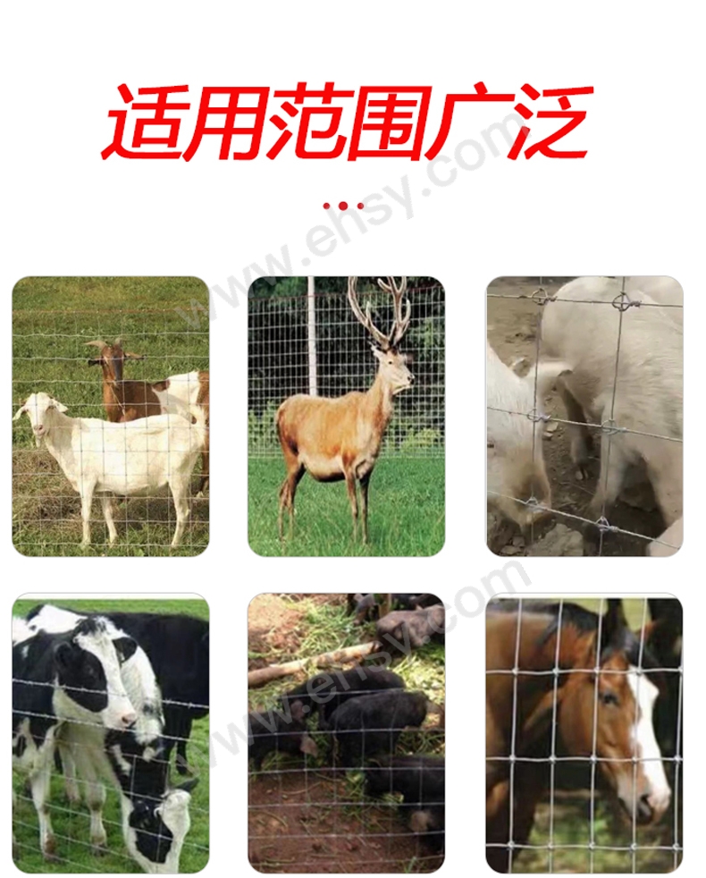 3-效果图2.jpg
