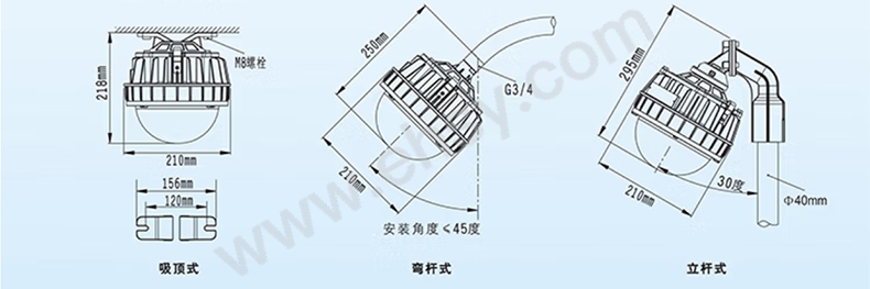 UWF376_04.jpg
