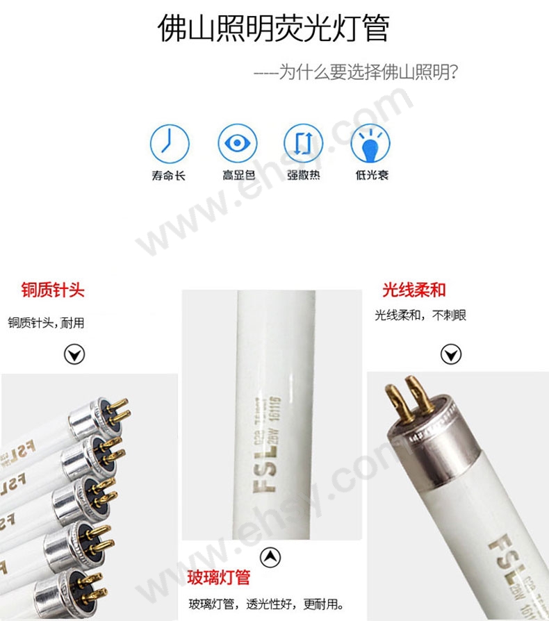 特点.jpg