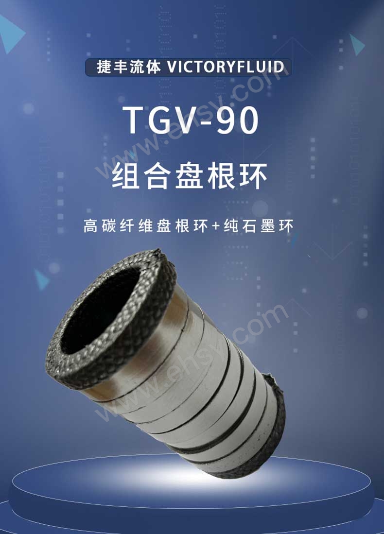 TGV-90组合盘根环_01.jpg