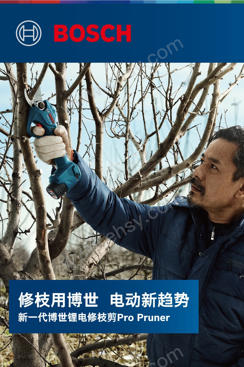 博世 锂电修枝剪，Pruner Solo|06019K1083 售卖规格：1台【多少钱 规格参数 图片 采购】-西域