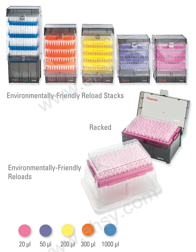 F102151_p.eps-650 (2).jpg