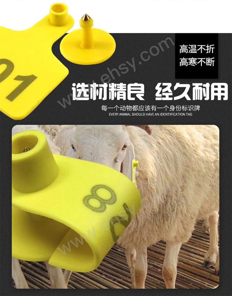 ZDD035-特点.jpg