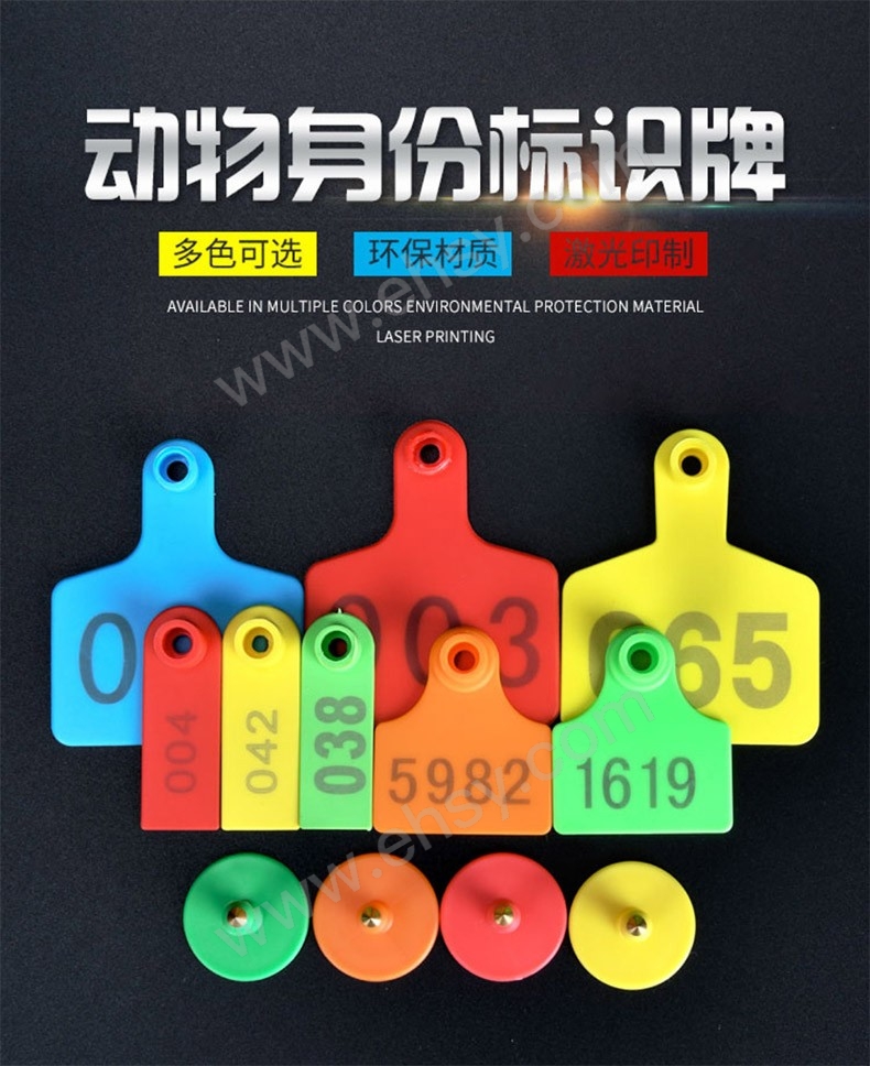 ZDD035-介绍.jpg