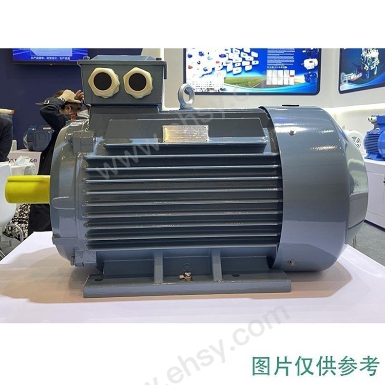 江苏大中 超高效三相交流异步电动机，YE3-160L-4/15kW/380V/28.9A/50HZ/F/IP55/B35【多少钱 规格参数 ...