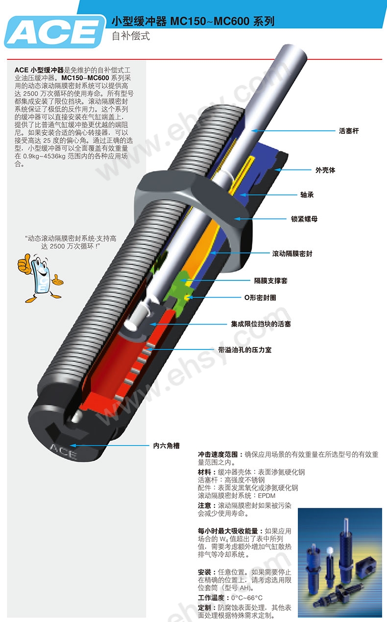 介绍5.jpg