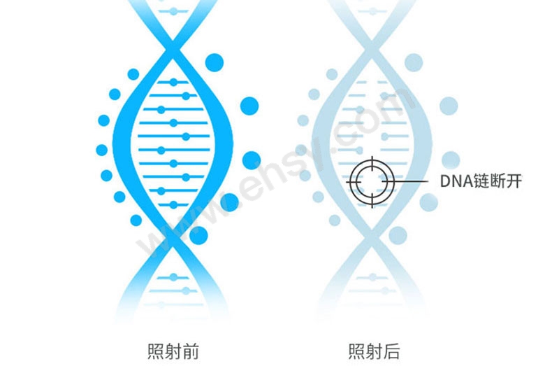 细节_05.jpg