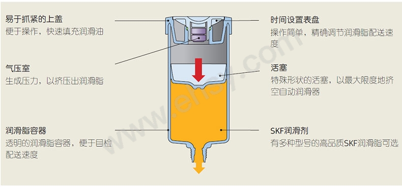 细节.jpg