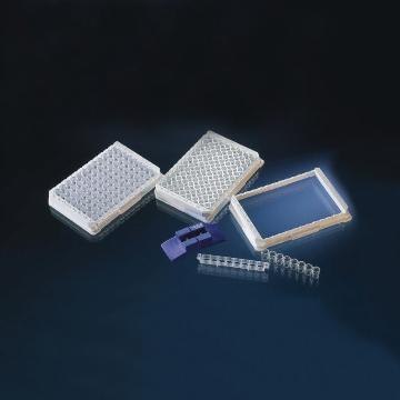 Nunc ImmunoTMLockWellTM板条,带框,每框96孔聚苯乙烯,128*86mm,规格,C8,表面MaxiSorp，446469 售卖规格：60个/箱