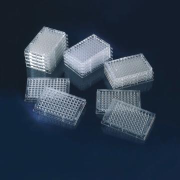 Nunc F96 MicroWellTM微孔板,聚丙烯,外部尺寸128*86mm,表面,MaxiSorp,已灭菌，442404 售卖规格：60个/箱