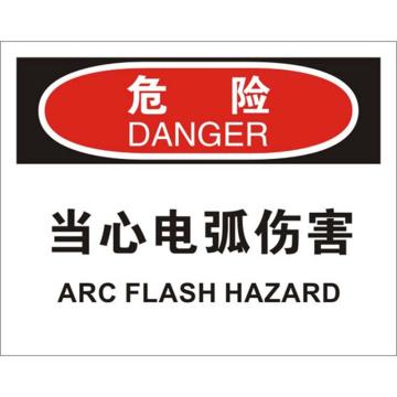 安赛瑞 OSHA危险标识-当心电弧伤害，ABS板，250×315mm，31659 售卖规格：1张