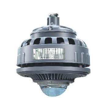 森本 LED免维护节能防水防尘防腐灯，白光 60W，FGV6209-LED60，单位：个