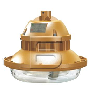 森本 防爆电磁感应灯，50W 白光，FGV1107-QL50，单位：个