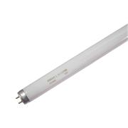 欧司朗 标准型直管荧光灯管，0.6米 白光 色温6500K，T8 18W/765，单位：个