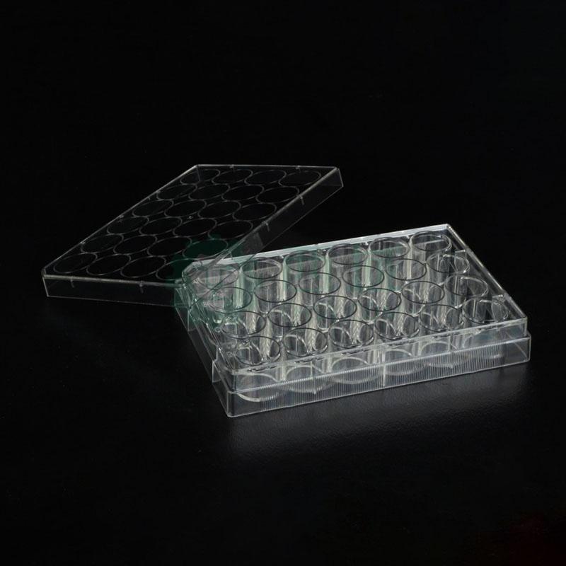 细胞培养板,24孔,1.