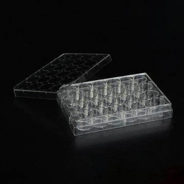 洁特 细胞培养板,24孔,1.9cm2,CellATTACH超亲水表面处理,已消毒,1块/盒,100块/箱，CAP011024 售卖规格：100块/箱
