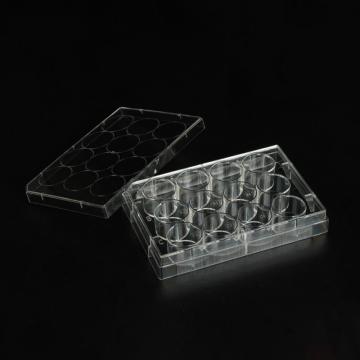 洁特 细胞培养板,12孔,3.9cm2,CellATTACH超亲水表面处理,已消毒,1块/盒,100块/箱，CAP011012 售卖规格：100块/箱