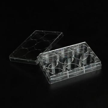 洁特 细胞培养板,6孔,9.5cm2,CellATTACH超亲水表面处理,已消毒,1块/盒,100块/箱，CAP011006 售卖规格：100块/箱