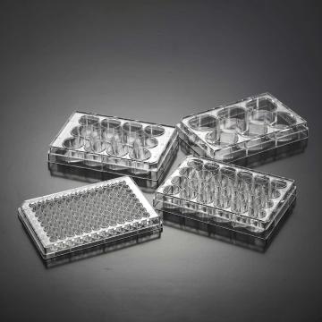 洁特 一次性细胞培养板,6well,灭菌,标准型，TCP011006 售卖规格：100个/箱