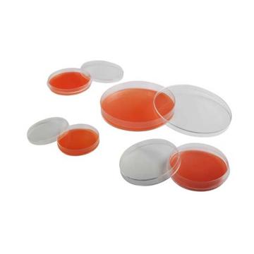 洁特 一次性细胞培养皿,3.5cm,灭菌,标准型,10个/包,960个/箱，TCD010035 售卖规格：960个/箱