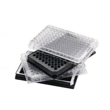 艾本德/Eppendorf 96孔/V型底-PP微孔板,黑色孔井,白色边框,PCR洁净级,80块 (5x16块)，0030601904 售卖规格：80块/盒