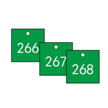 安赛瑞 塑料号码吊牌-正方形，31.8×31.8mm，绿底白字，号码201-300，14858 售卖规格：100个/包