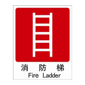安赛瑞 消防安全标识-消防梯，自发光不干胶，250×315mm，G5505C 售卖规格：1张