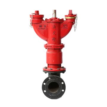 闽太 室外地下式消火栓，SA100/65-1.6，13S201(33) 售卖规格：1套