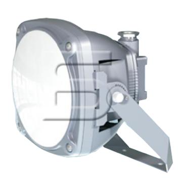 森本 LED防水防尘防腐泛光灯，20W 白光，FGV6246-LED20，U型支架式安装，单位：个
