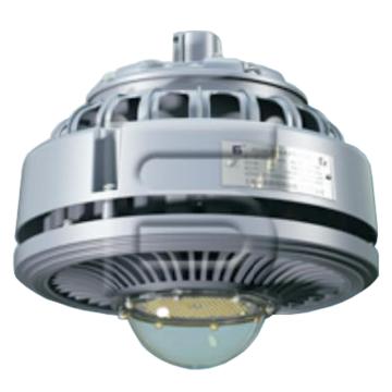 森本 LED防水防尘防腐灯，120W 白光，FGV6216-LED120，吸顶式C2 含120°弯管、接线盒，单位：个