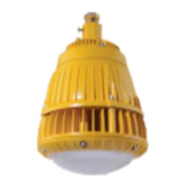 津达 LED免维护防爆灯，KD-FBD-001D 50W，白光，管吊式安装，含防爆接线盒，含0.3米吊杆 售卖规格：1个