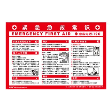 安赛瑞 紧急急救常识，ABS板，75cm×50cm，30401 售卖规格：1个