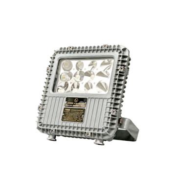 通明电器 BC9101A-L40-L15，LED防爆泛光应急灯 40W+应急15W120min白光5000K，单位：个