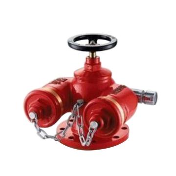 华泰 消防水泵接合器，SQD100-1.6 售卖规格：1个